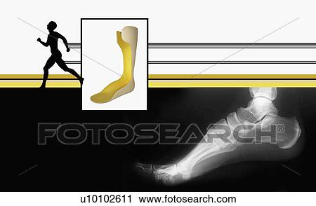 Close-up of a human foot View Large Illustration Clip Art - Close-up of a human foot. Fotosearch
