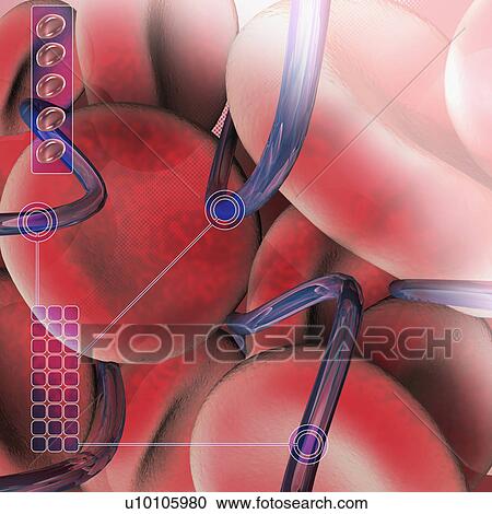 Close-up of human cells View Large Illustration Clipart - Close-up of human cells. Fotosearch