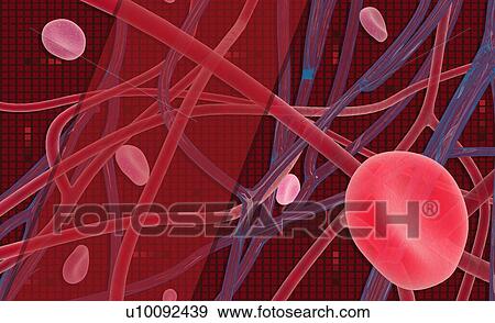 Close-up of human cells View Large Illustration Stock Illustration - Close-up of human cells. Fotosearch