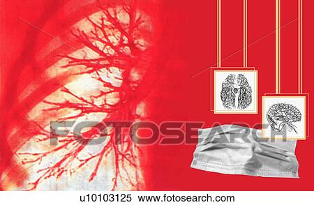 Close-up of human lungs View Large Illustration Stock Illustration - Close-up of human lungs. Fotosearch