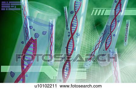 Clip Art - DNA structures in test tubes. Fotosearch