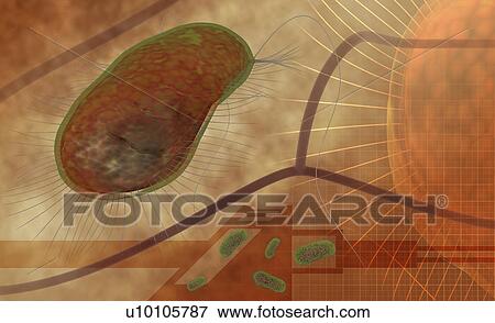 Microscopic view of human cells View Large Illustration Stock Illustration - Microscopic view of human cells. Fotosearch