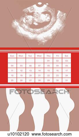 Mid section view of three pregnant women standing under a calendar View Large Illustration Clipart - Mid section view of three pregnant women standing under a calendar. Fotosearch