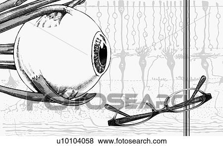 Stock Illustration - Side profile of a human orb looking at a pair of eyeglasses. Fotosearch
