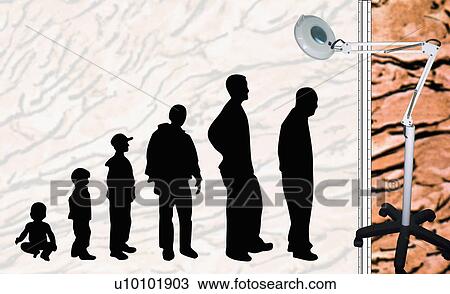 Drawing - Silhouettes depicting the human lifecycle from birth to old age. Fotosearch