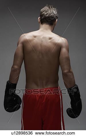 Rear view of boxer View Large Photo Image Stock Photograph - Rear view of boxer. Fotosearch