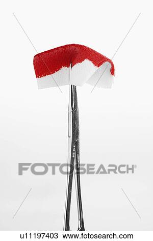 Stock Image - Tweezers holding blood stained swab (close-up). Fotosearch