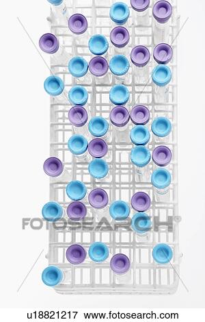 Stock Photo - Test tubes in rack (directly above). Fotosearch