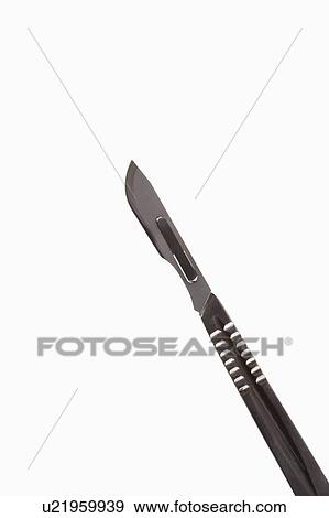Stock Photo - Medical scapel on white background.. Fotosearch