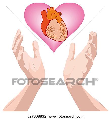 Drawing - Heart. Fotosearch