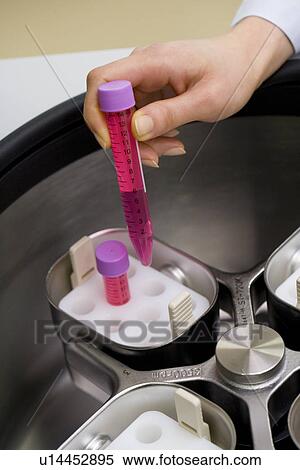 Close-up human hands taking out a test tube from a centrifuge, high angle view View Large Photo Image Stock Photography - Close-up human hands taking out a test tube from a centrifuge, high angle view. Fotosearch