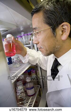 Stock Photo - Close up of a mature scientist man looking at a medical sample in fridge, side view. Fotosearch
