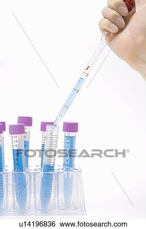 Injecting liquid into a test tube View Large Photo Image Stock Photograph - Injecting liquid into a test tube. Fotosearch