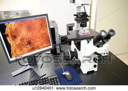 Stock Image - Laboratory equipments on desk, high angle view. Fotosearch