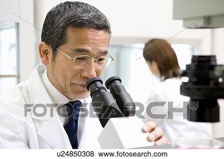 Stock Photo - Mature scientist man looking through a Microscope in laboratory, young scientist woman in background, side view, rear view. Fotosearch