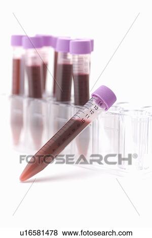 Stock Photo - Row of test tubes on rack, side view, Differential Focus. Fotosearch