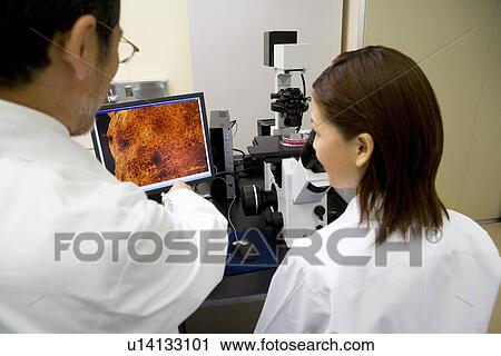 Two scientists talking and looking at a computer screen in laboratory, young woman sitting, rear view View Large Photo Image Stock Image - Two scientists talking and looking at a computer screen in laboratory, young woman sitting, rear view. Fotosearch