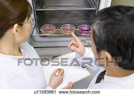 Stock Image - Two scientists talking in laboratory, high angle view, rear view. Fotosearch