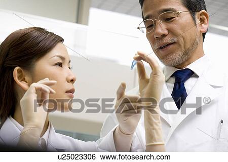 Stock Photograph - Two scientists talking in laboratory, young woman looking at a test tube in laboratory, side view, low angle view. Fotosearch