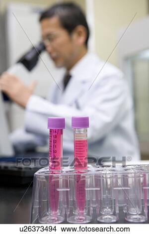 Picture - Two test tubes in rack, mature scientist man looking through a microscope in laboratory, Differential Focus. Fotosearch