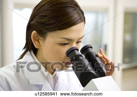 Young scientist woman looking through a Microscope in laboratory, side view View Large Photo Image Stock Image - Young scientist woman looking through a Microscope in laboratory, side view. Fotosearch