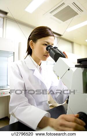 Young scientist woman looking through a Microscope in laboratory, side view View Large Photo Image Stock Image - Young scientist woman looking through a Microscope in laboratory, side view. Fotosearch