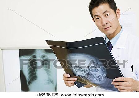 Portrait of a male doctor holding an X-Ray View Large Photo Image Stock Photo - Portrait of a male doctor holding an X-Ray. Fotosearch