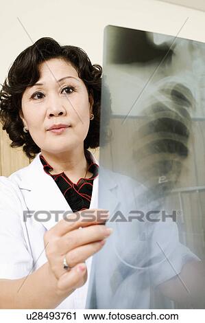 Close-up of a female doctor examining an X-Ray View Large Photo Image Stock Image - Close-up of a female doctor examining an X-Ray. Fotosearch
