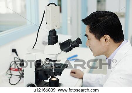 Side profile of a male doctor looking into a microscope View Large Photo Image Stock Photo - Side profile of a male doctor looking into a microscope. Fotosearch
