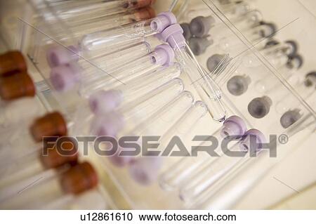Stock Image - Empty test tubes. Fotosearch