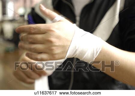 Boxer View Large Photo Image Stock Photo - Boxer. Fotosearch