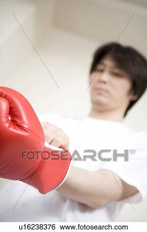 Stock Photograph - Boxer. Fotosearch