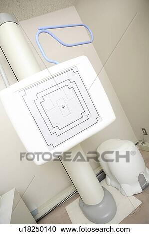 X-ray View Large Photo Image Stock Image - X-ray. Fotosearch