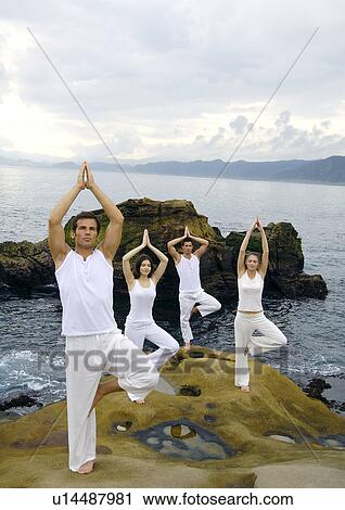 Two young men and two young women practicing yoga in the tree pose View Large Photo Image Stock Image - Two young men and two young women practicing yoga in the tree pose. Fotosearch