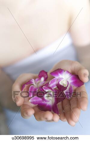 Stock Photography - Woman in hot tub holding flower heads, high angle view, close up, Japan. Fotosearch