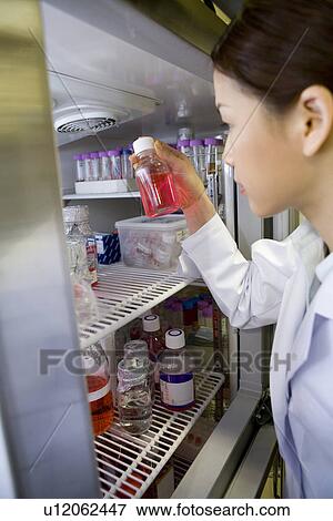 Female scientist holding and looking at a medicine bottle in refrigerator, side view View Large Photo Image Stock Photo - Female scientist holding and looking at a medicine bottle in refrigerator, side view. Fotosearch