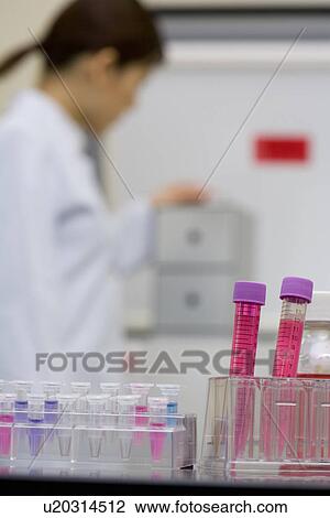 Female scientist in laboratory, test tubes in foreground, side view, differential focus View Large Photo Image Stock Image - Female scientist in laboratory, test tubes in foreground, side view, differential focus. Fotosearch