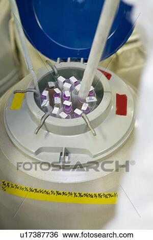 Liquid nitrogen, high angle view View Large Photo Image Stock Photograph - Liquid nitrogen, high angle view. Fotosearch