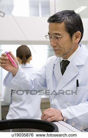 Male scientist holding and looking at test tube in laboratory, side view, rear view View Large Photo Image Stock Photograph - Male scientist holding and looking at test tube in laboratory, side view, rear view. Fotosearch