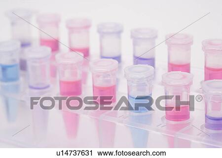 Stock Image - Micro test tubes with colorful liquids in rack, high angle view, close up, white background. Fotosearch