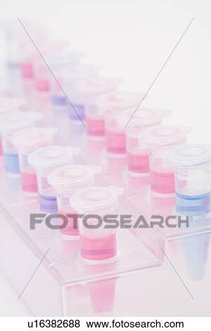 Stock Photo - Micro test tubes with colorful liquids in rack, side view, high angle view, close up, white background. Fotosearch
