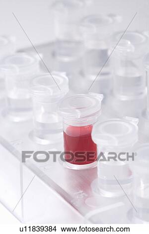 Picture - Micro test tubes with liquids in rack, high angle view, close up, white background. Fotosearch