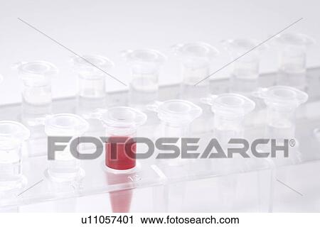 Stock Image - Micro test tubes with liquids in rack, high angle view, close up, white background. Fotosearch