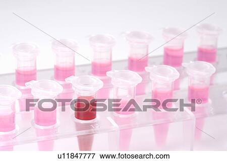 Stock Photo - Micro test tubes with liquids in rack, high angle view, close up, white background. Fotosearch