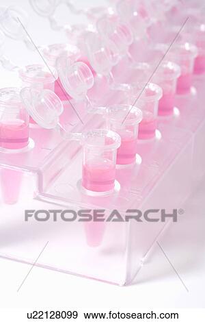 Stock Photo - Micro test tubes with liquids in rack, high angle view, close up, white background. Fotosearch