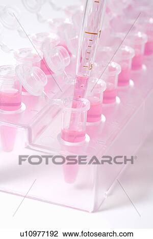 Stock Image - Pipette dropping liquids into micro test tubes, high angle view, close up, white background. Fotosearch
