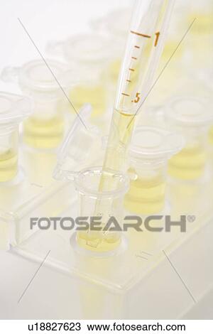 Pipette dropping liquids into micro test tubes, high angle view, close up, white background View Large Photo Image Stock Image - Pipette dropping liquids into micro test tubes, high angle view, close up, white background. Fotosearch