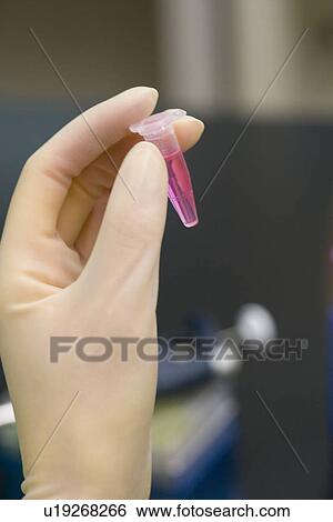Scientist holding a micro test tube with liquid, front view, close up View Large Photo Image Stock Photograph - Scientist holding a micro test tube with liquid, front view, close up. Fotosearch