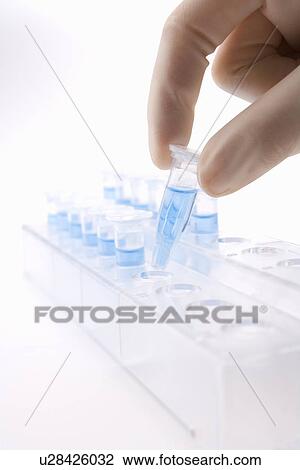 Scientist picking up a micro test tube with liquid from rack, side view, close up, white background View Large Photo Image Stock Image - Scientist picking up a micro test tube with liquid from rack, side view, close up, white background. Fotosearch