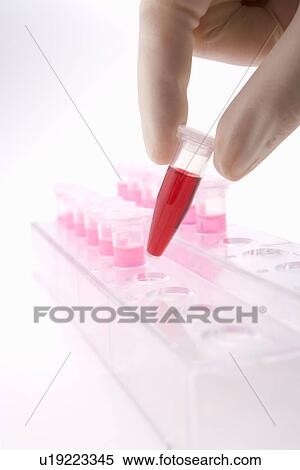 Scientist picking up a micro test tube with liquid from rack, side view, close up, white background View Large Photo Image Stock Photography - Scientist picking up a micro test tube with liquid from rack, side view, close up, white background. Fotosearch